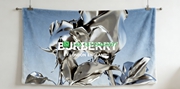 Burberry Throw Blankets